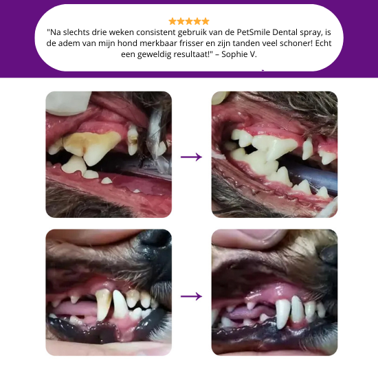 PetSmile Dental Spray™ | ⭐Bestseller