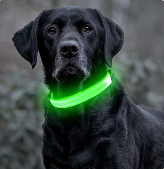 BrightPaw™ | Oplaadbare LED Hondenhalsband voor Veiligheid