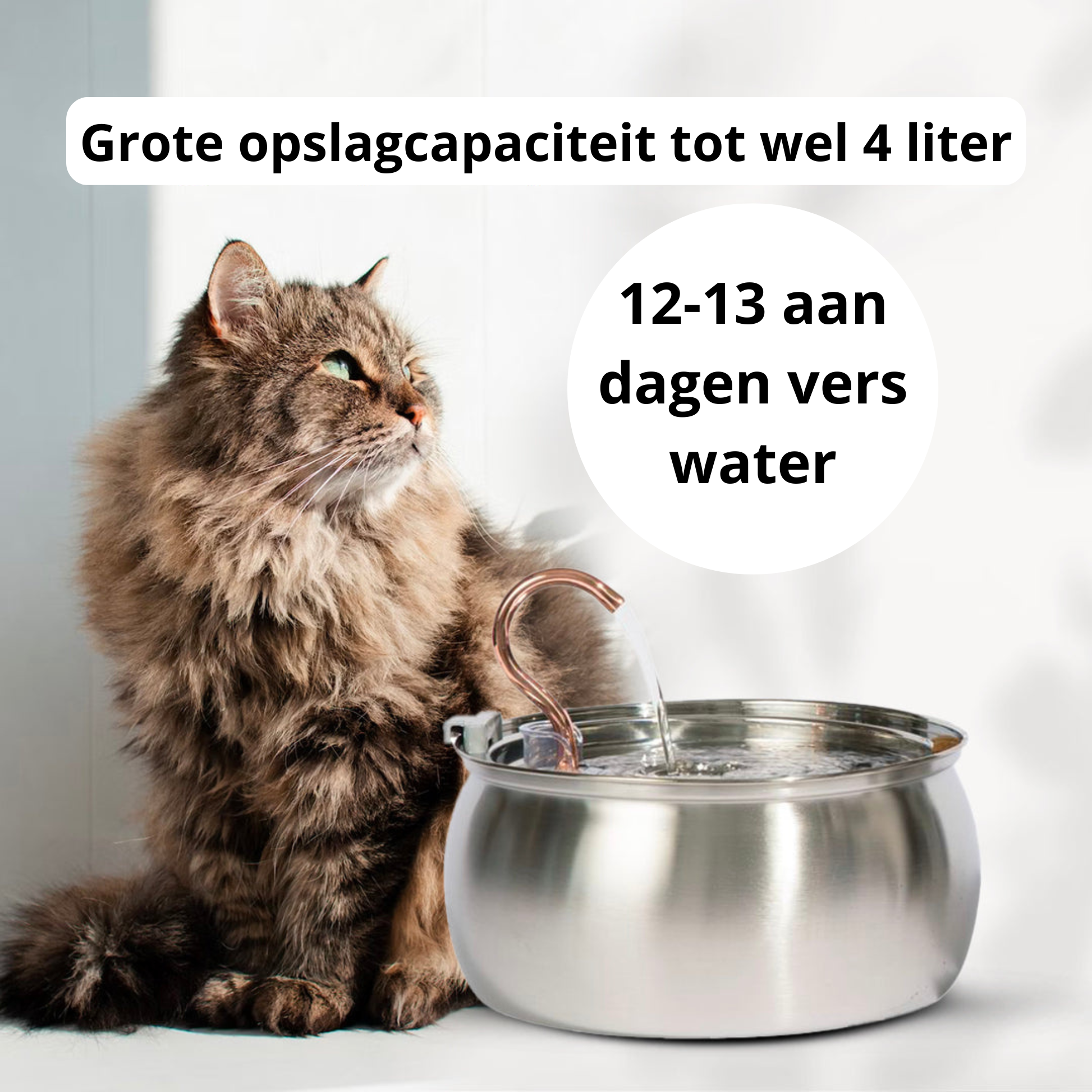 KatFontein™ | Altijd vers water voor je kat, elke slok een verfrissing!