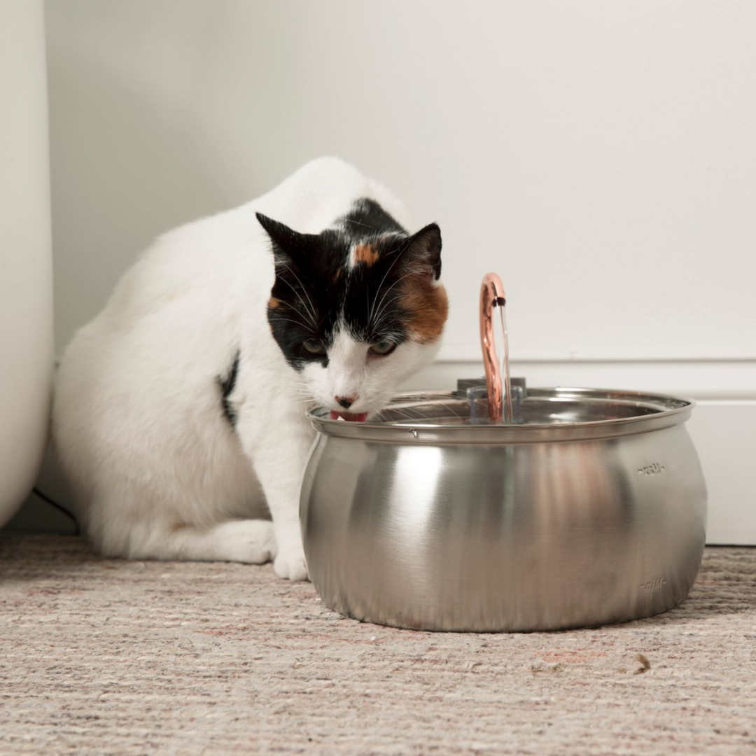 KatFontein™ | Altijd vers water voor je kat, elke slok een verfrissing!