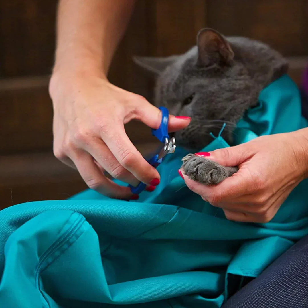 CatPouch™  Voor een stressvrije ervaring bij elke behandeling!