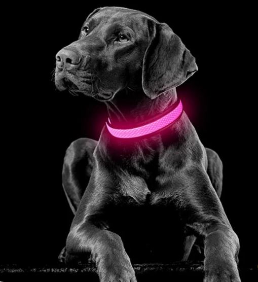 BrightPaw™ | Oplaadbare LED Hondenhalsband voor Veiligheid