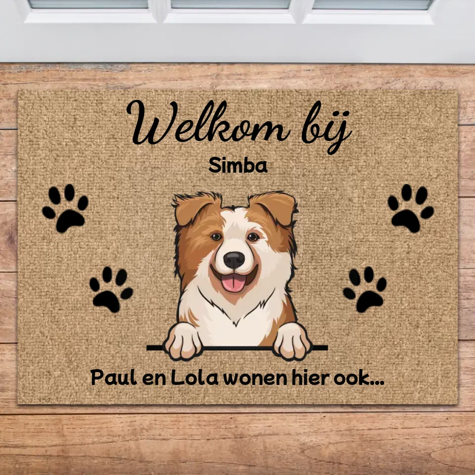 FurMat™ | De Perfecte Mat voor Onvoorwaardelijke Liefde en Comfort!