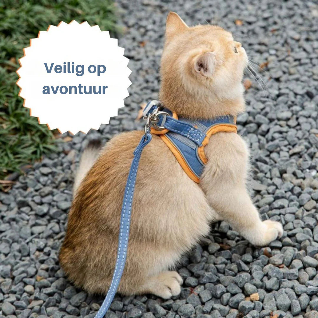 KatHarnas™ | Nooit meer oncomfortabele wandelingen!