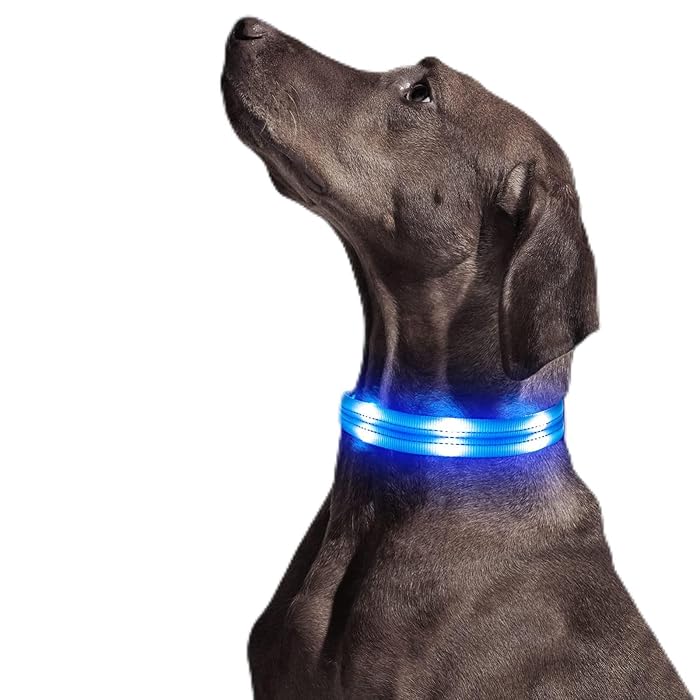 BrightPaw™ | Oplaadbare LED Hondenhalsband voor Veiligheid