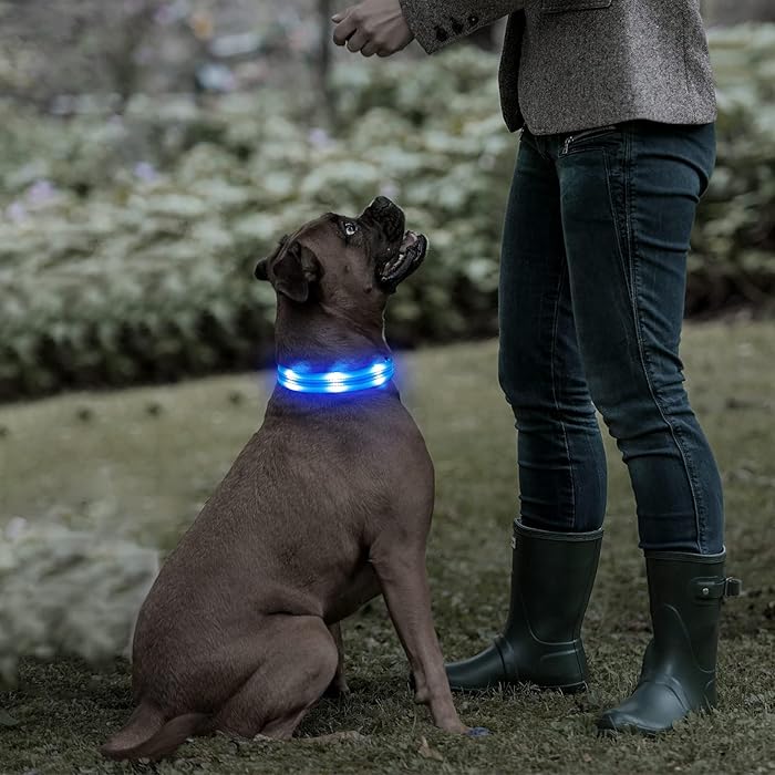 BrightPaw™ | Oplaadbare LED Hondenhalsband voor Veiligheid