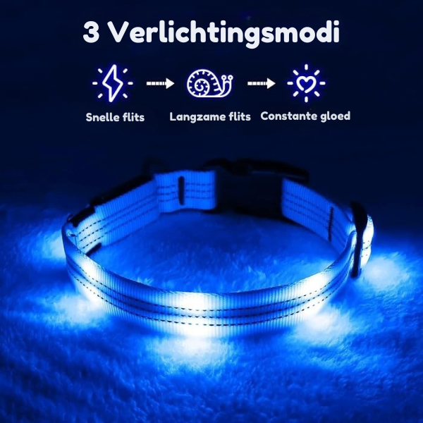 BrightPaw™ | Oplaadbare LED Hondenhalsband voor Veiligheid