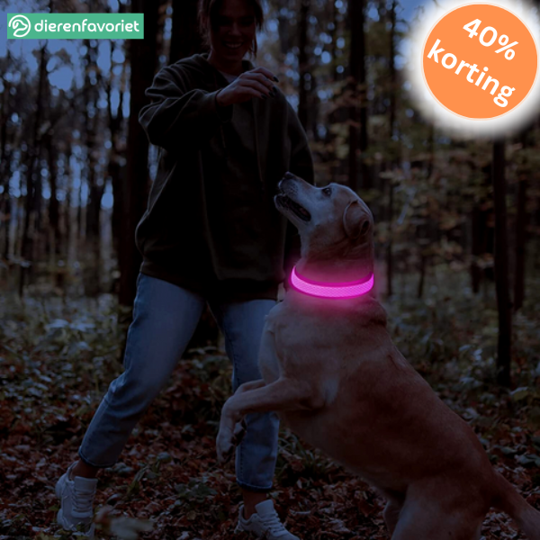 BrightPaw™ | Oplaadbare LED Hondenhalsband voor Veiligheid