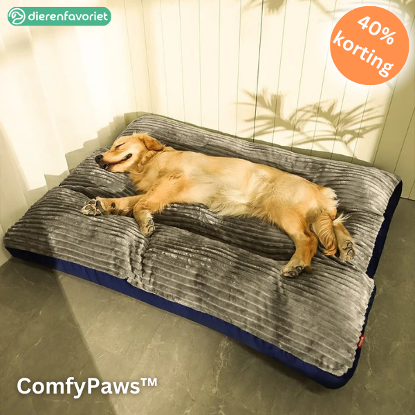 ComfyPaws™ | Geheugenfoam Orthopedisch Hondenkussen met Verwijderbare Hoes