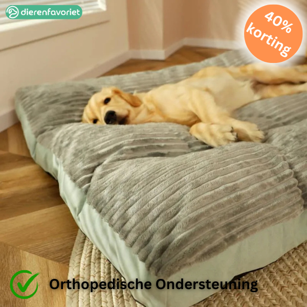 ComfyPaws™ | Geheugenfoam Orthopedisch Hondenkussen met Verwijderbare Hoes