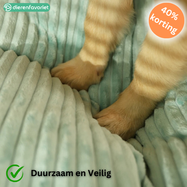 ComfyPaws™ | Geheugenfoam Orthopedisch Hondenkussen met Verwijderbare Hoes