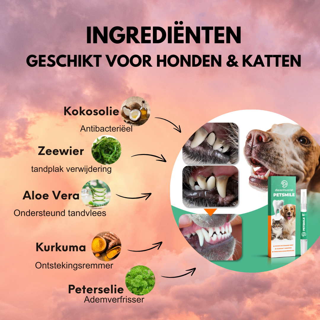 All-in-One Gebitszorgset™ | Geen dure dierenartsbezoeken meer nodig!