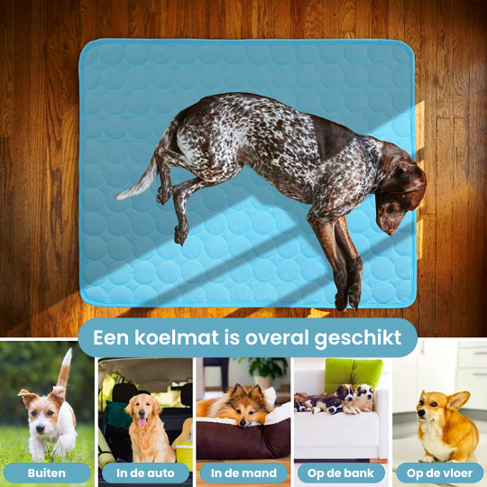 Coolmat™ Laat je hond deze zomer niet lijden onder de hitte!