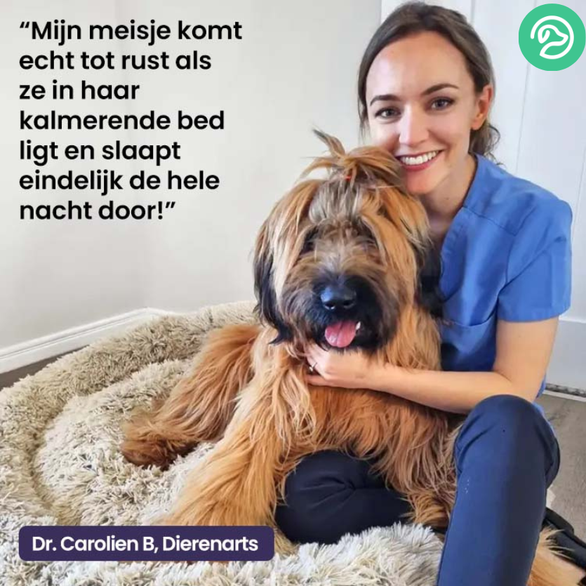 DreamPaw™ | Waar pootjes rust vinden en dromen beginnen!