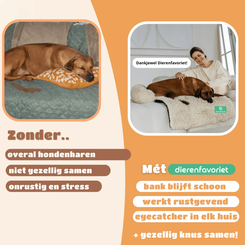 SnoozePaws™ | Waar jouw hond droomt van comfort!