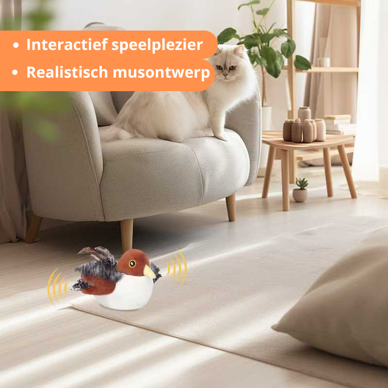 Jachtvogel™ | Ontwaak de jager in je kat!