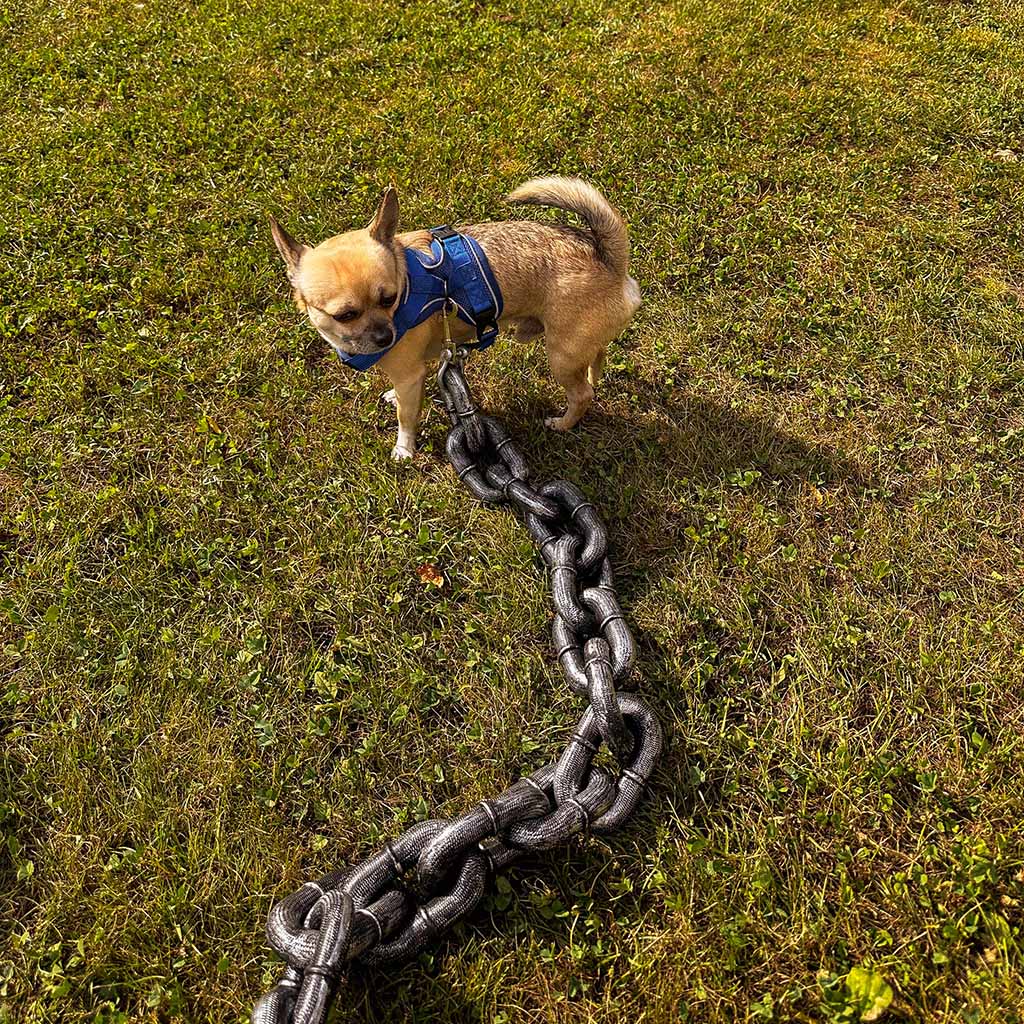 ChainLeash™ | Maak van elke wandeling een avontuur!