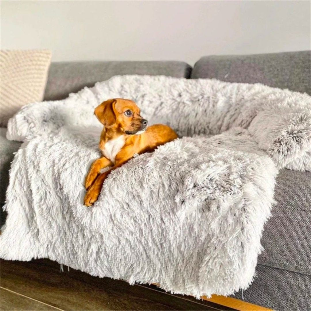 SnoozePaws™ | Waar jouw hond droomt van comfort!