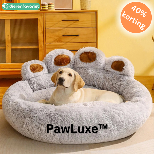 PawLuxe™ | Ultiem Pluche Sofa Bed voor Verwende Huisdieren