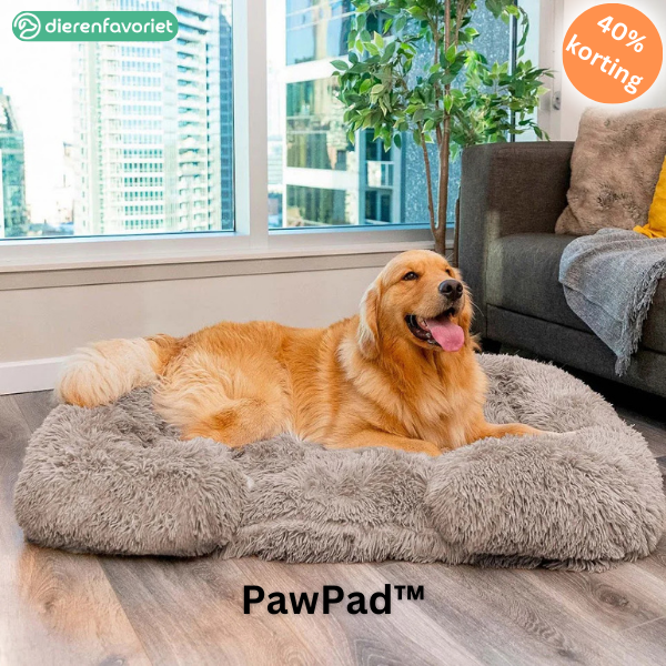 PawPad™ | Orthopedisch Kussen Hondenbed voor Pijnvrije Ontspanning