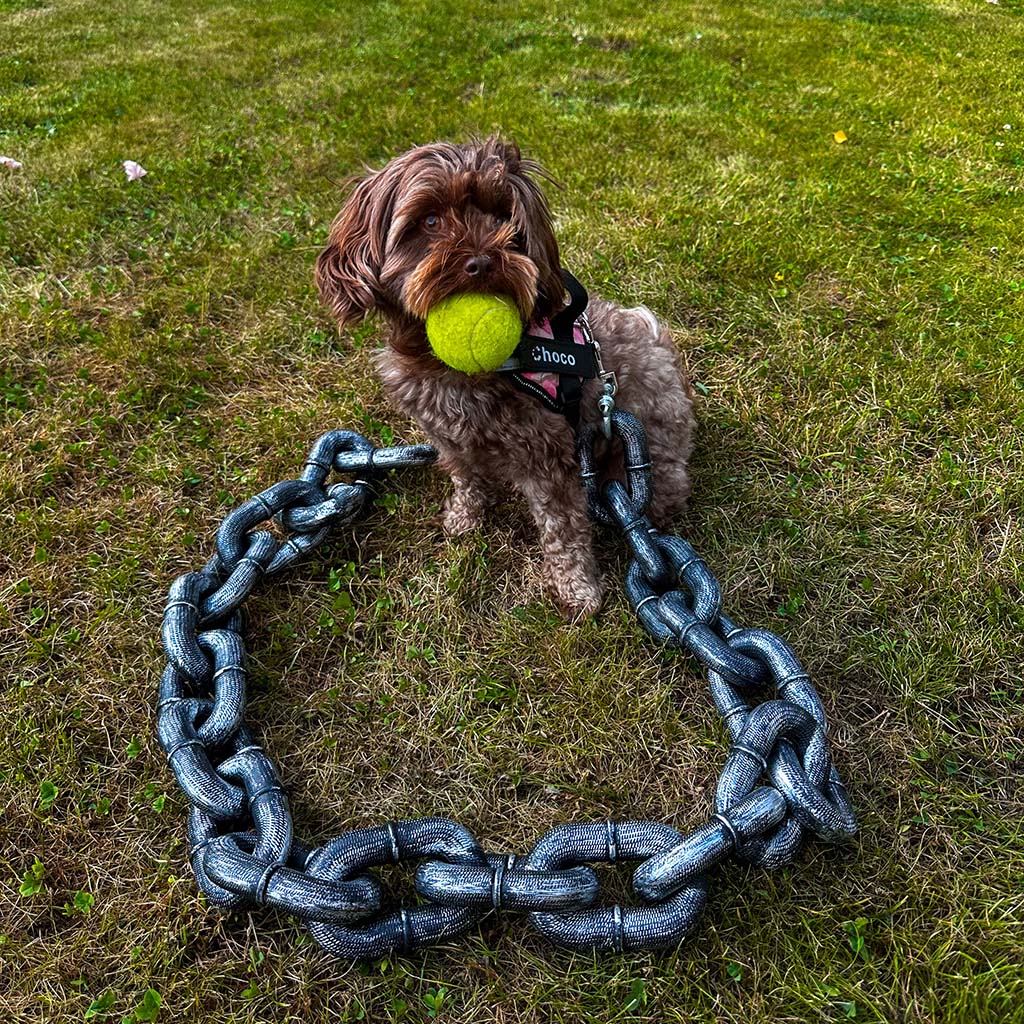 ChainLeash™ | Maak van elke wandeling een avontuur!