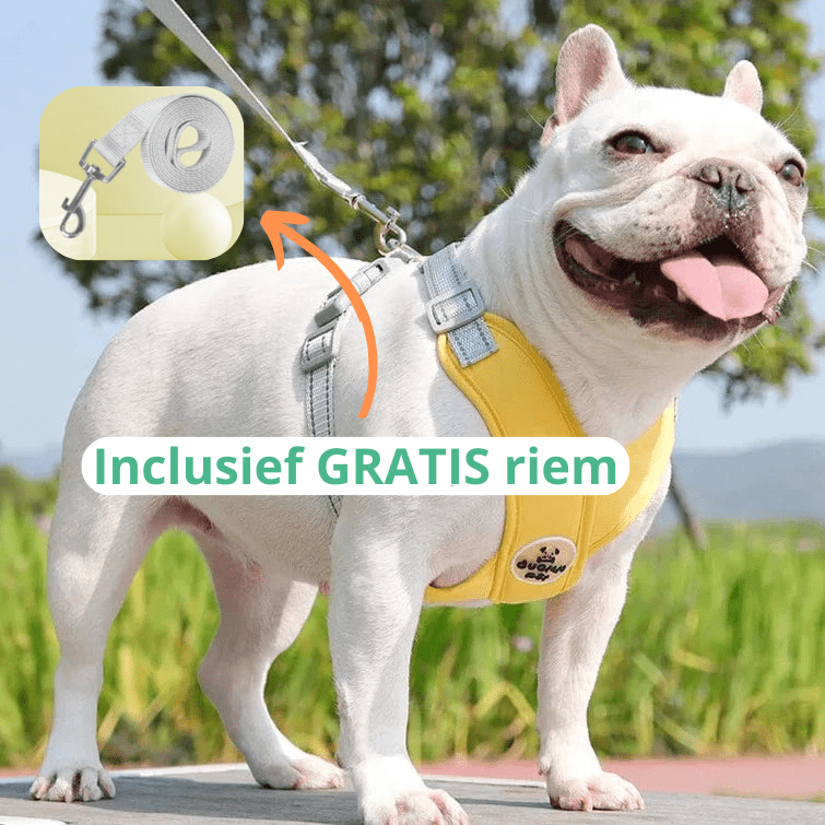 PupFit™ | Voor je kleinste maatje, met de grootste zorg!