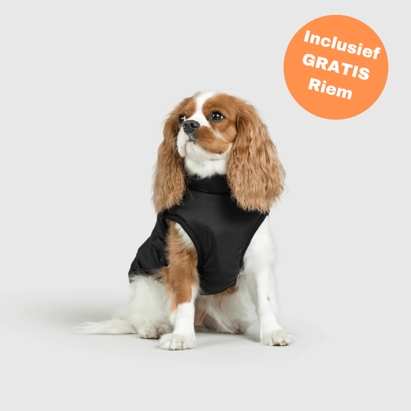 FluffyFit™ | Bescherm je hond tegen de koude herfst & winterdagen!