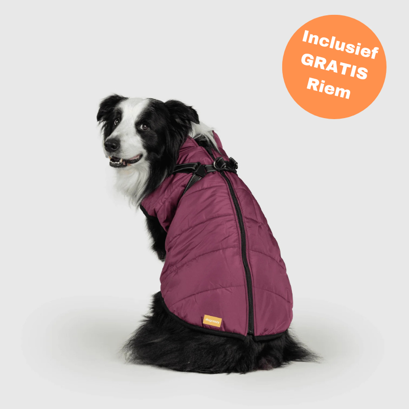 FluffyFit™ | Bescherm je hond tegen de koude herfst & winterdagen!