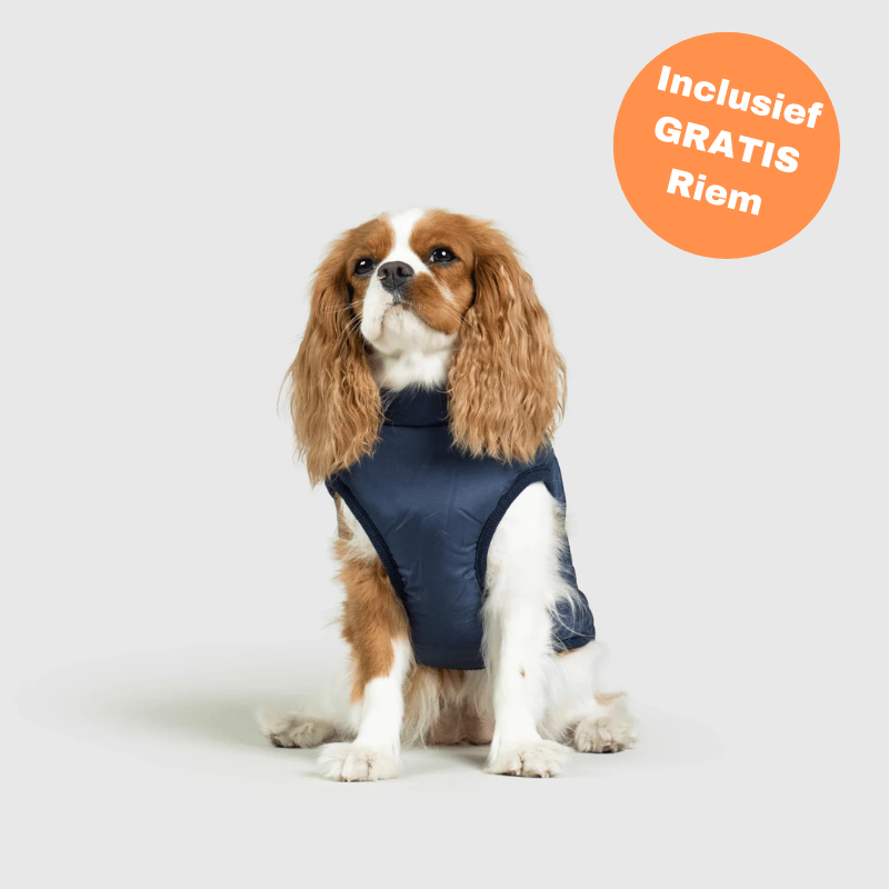 FluffyFit™ | Bescherm je hond tegen de koude herfst & winterdagen!