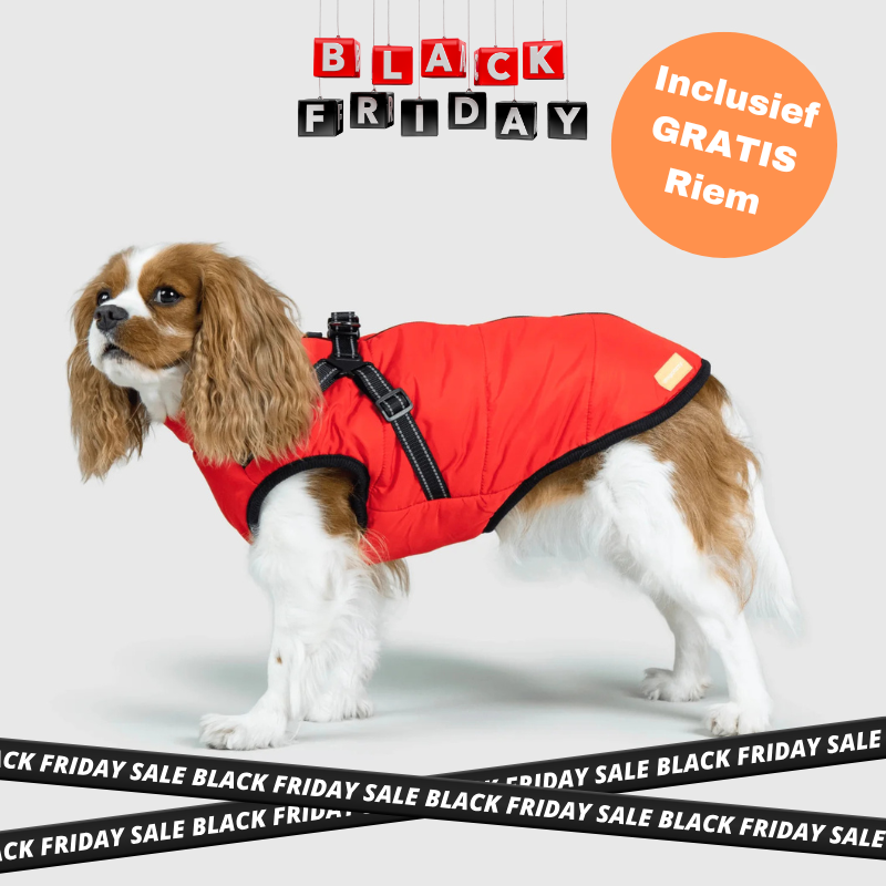 FluffyFit™ | Bescherm je hond tegen de koude herfst & winterdagen!