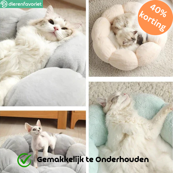 PawPetal™ | Stijlvol Bloemvormig Bed voor Ultiem Comfort