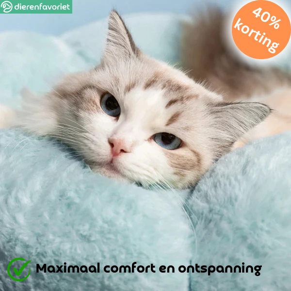 PawPetal™ | Stijlvol Bloemvormig Bed voor Ultiem Comfort