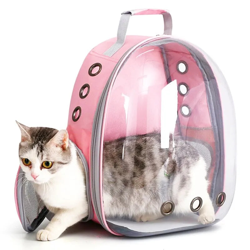 KittyBag™  Geen stress meer met kattenreizen!