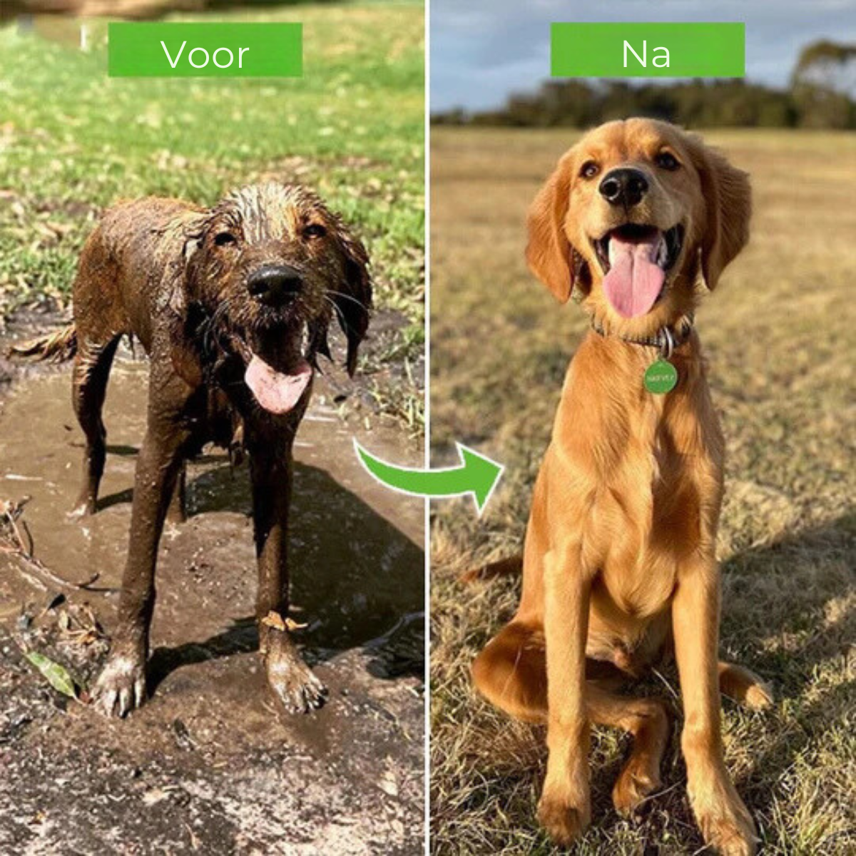 PawSpray™ | Snelle en milde reiniger voor uw honden!