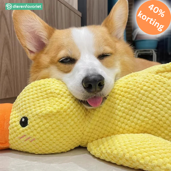 SnuggPaws™ Jouw hond zijn beste vriend!