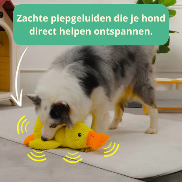 SnuggPaws™ Jouw hond zijn beste vriend!