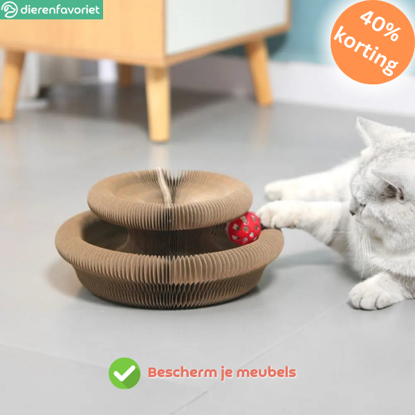 CatScratch™ | Speelgoed voor Klauwverzorging & Eindeloos Plezier