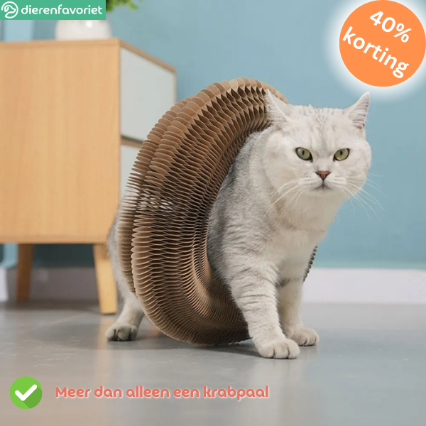 CatScratch™ | Speelgoed voor Klauwverzorging & Eindeloos Plezier