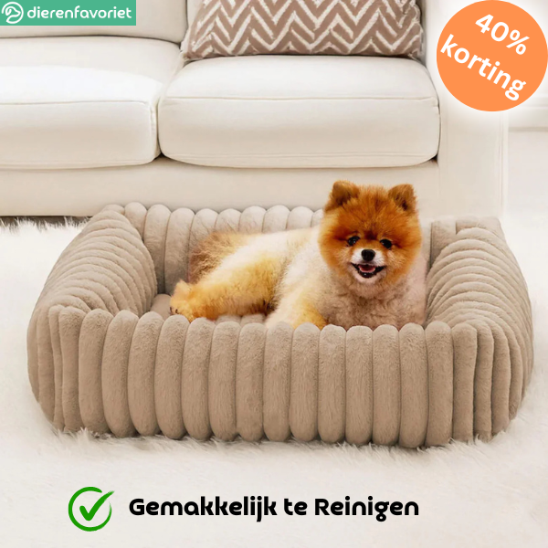 PawRest™ Orthopedisch Bolsterbed  – Perfect voor ondersteunende Slaap