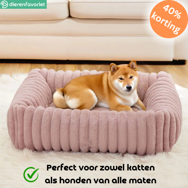 PawRest™ Orthopedisch Bolsterbed  – Perfect voor ondersteunende Slaap