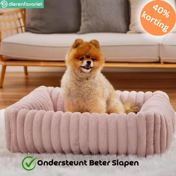 PawRest™ Orthopedisch Bolsterbed  – Perfect voor ondersteunende Slaap