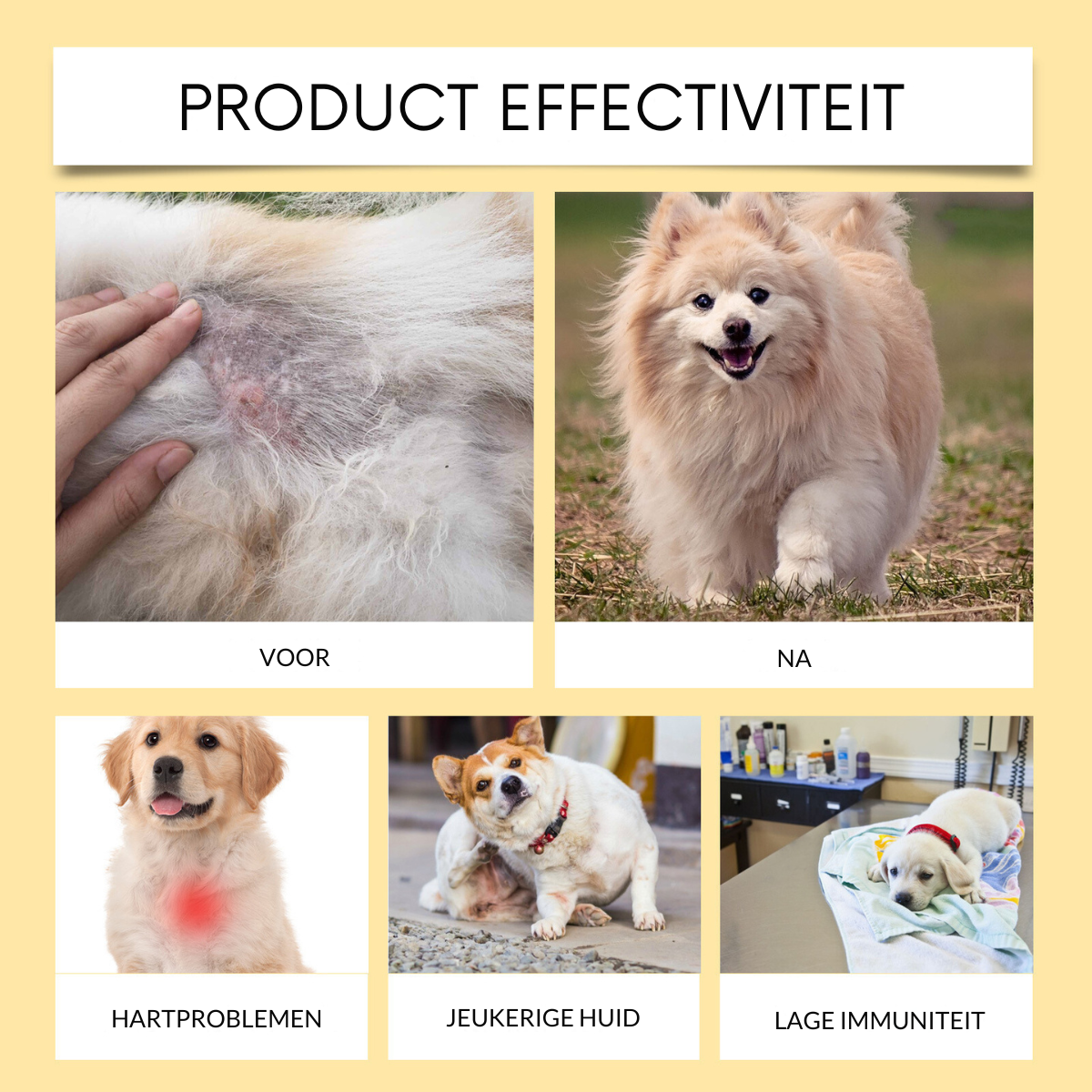 PawVit™ | Visolie Supplement Tabletten voor Honden