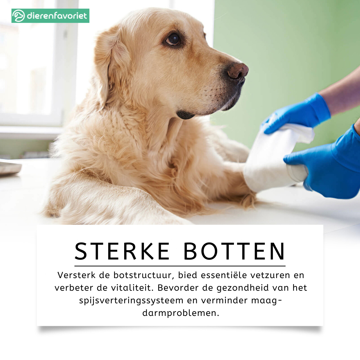 PawVit™ | Visolie Supplement Tabletten voor Honden