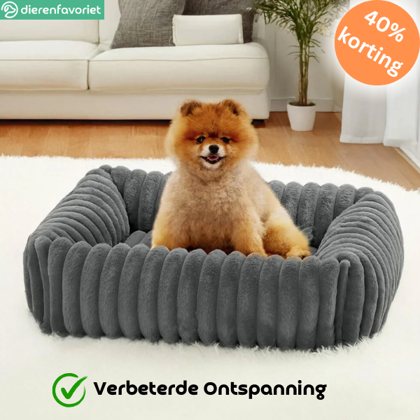 PawRest™ Orthopedisch Bolsterbed  – Perfect voor ondersteunende Slaap