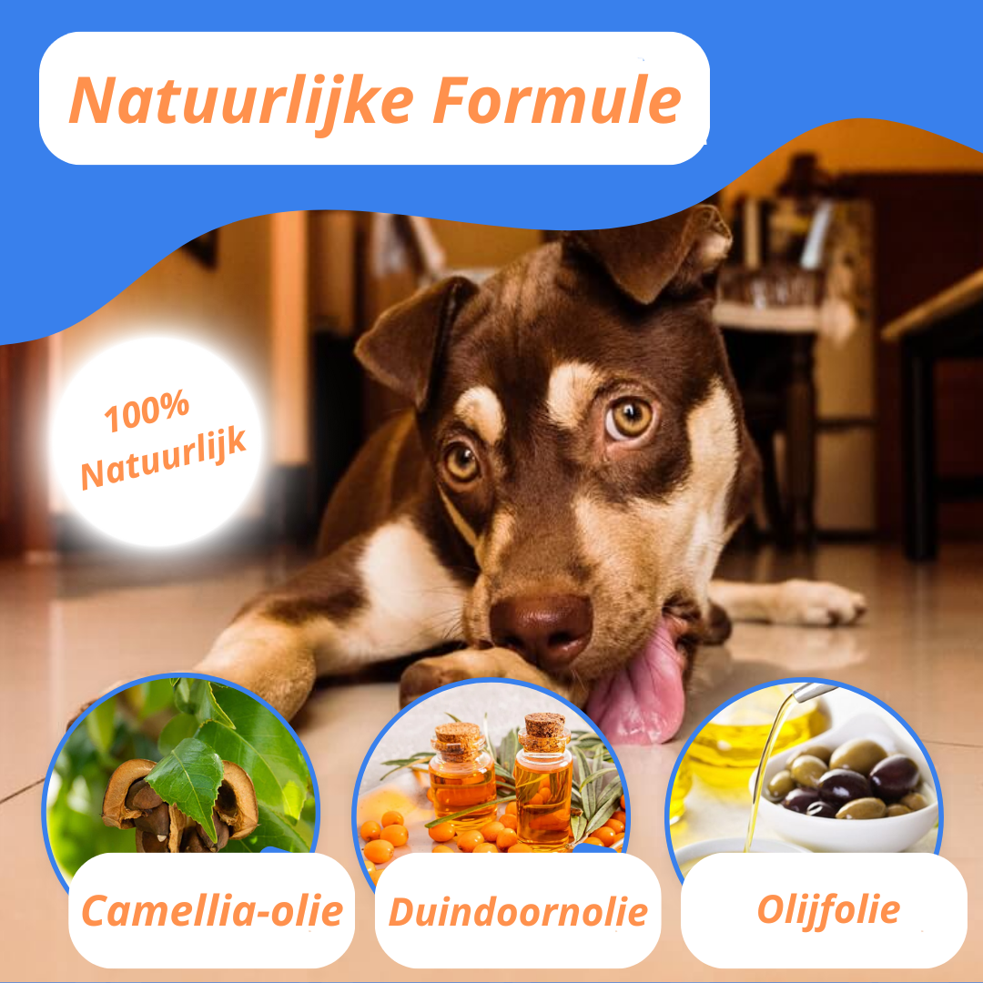 PawStick™ | Zeg vaarwel tegen de gebarsten pootjes van je hond!