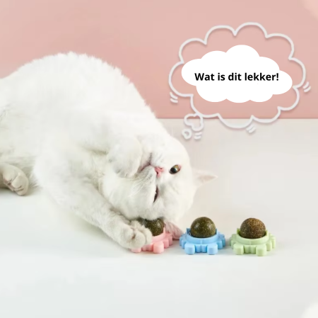 PurrBal™ | Speelplezier en mondgezondheid in één!