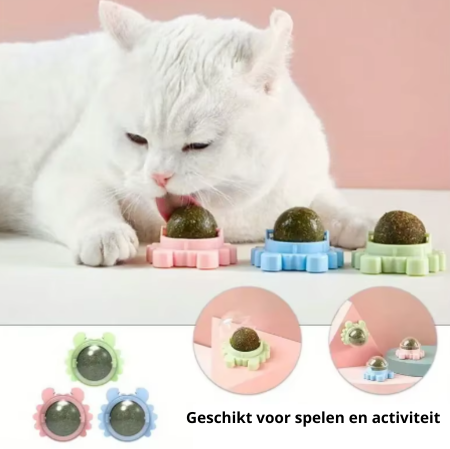 PurrBal™ | Speelplezier en mondgezondheid in één!