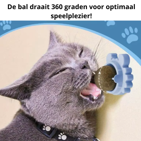 PurrBal™ | Speelplezier en mondgezondheid in één!