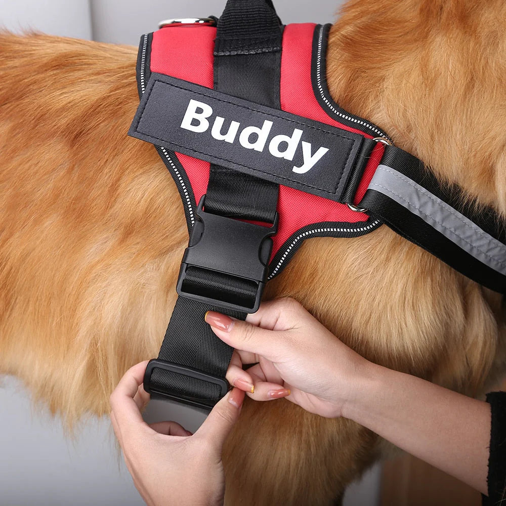 PawComfort™ Personaliseer jouw tuigje!